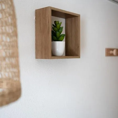 Joli Studio Proche Gare Et Centre Lourdes